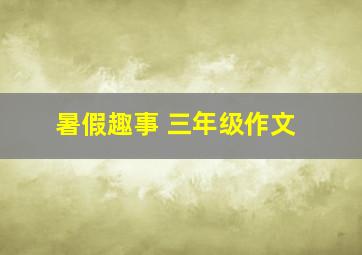 暑假趣事 三年级作文